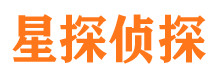 永福市调查公司